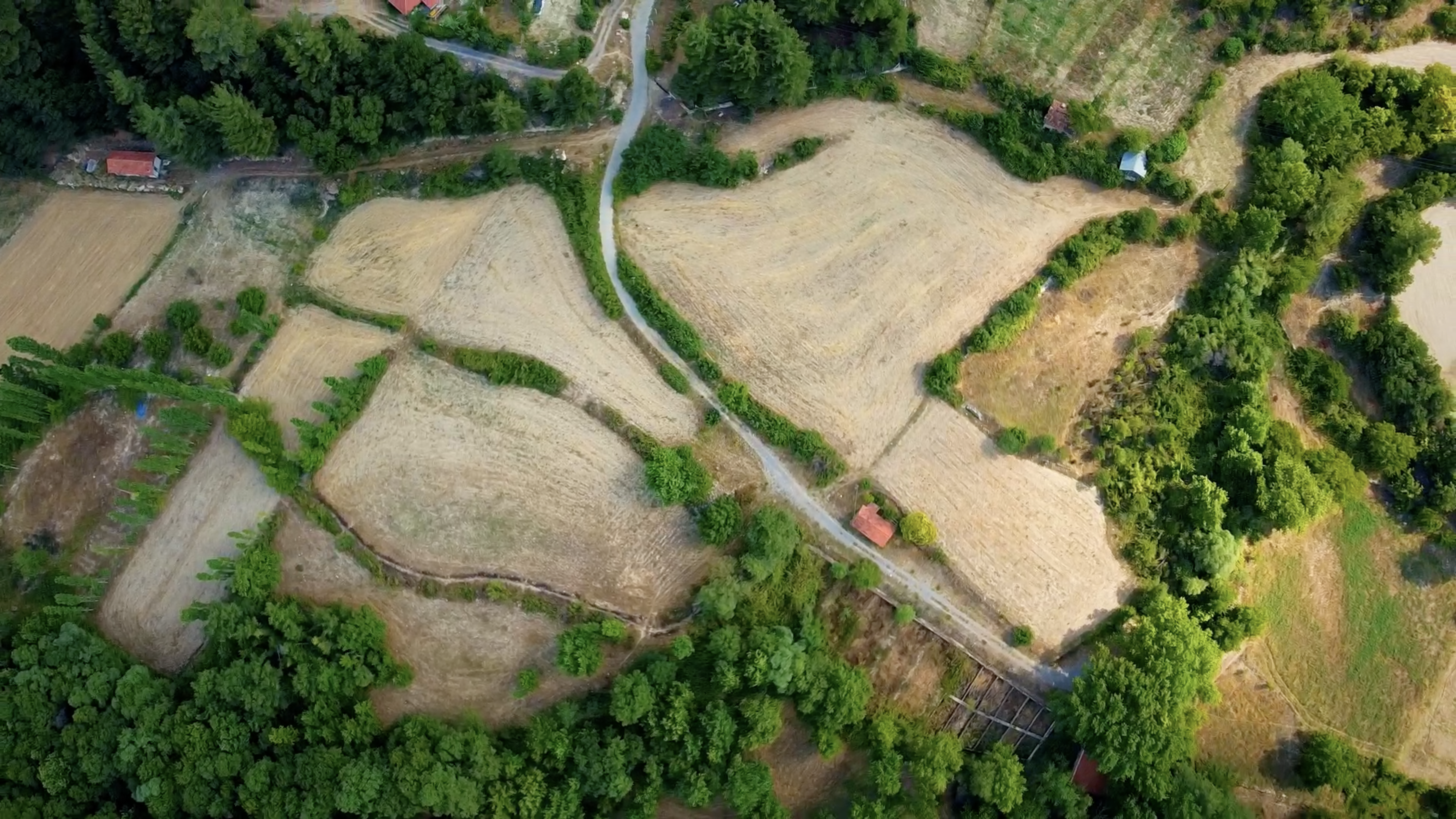 Sarıkavakta Satılık Fırsat Tarla